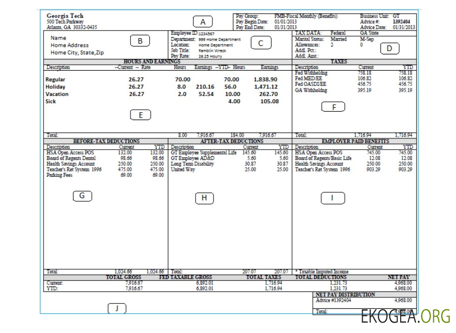 Modèle Word et PDF de bulletin de paie GEORGIA TECH